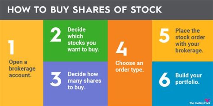 Are you a shareholder When you buy stock?