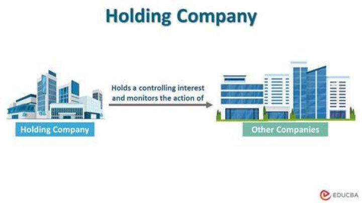 Can a holding company own stocks?