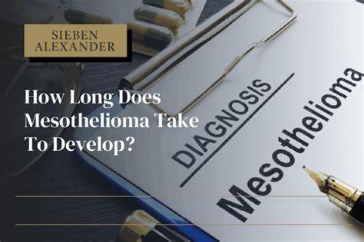 How quickly does mesothelioma develop?