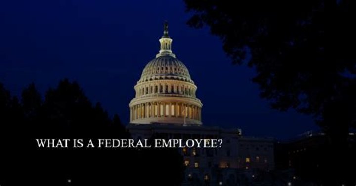Is a government employee a federal employee?