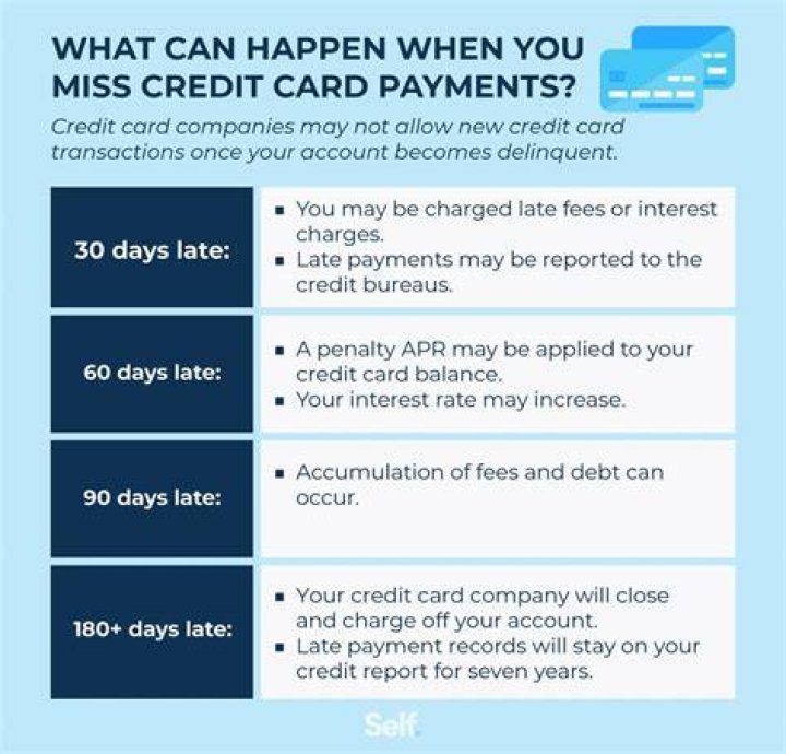 What happens after 6 months of not paying credit cards?