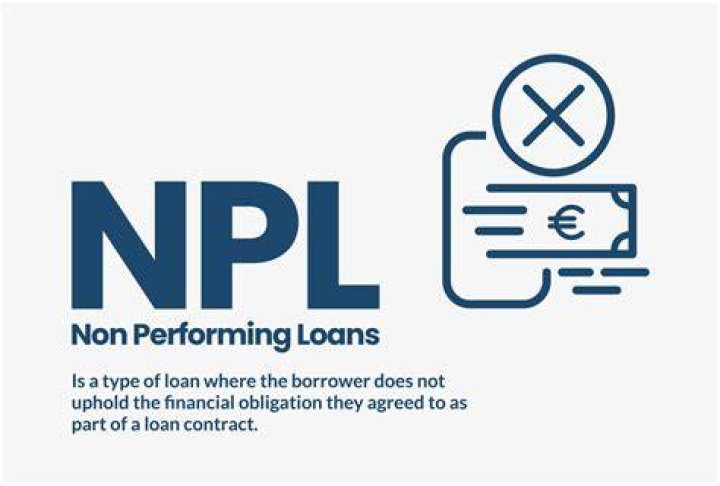 What is the meaning of non performing loan?